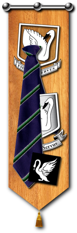 tie and badges